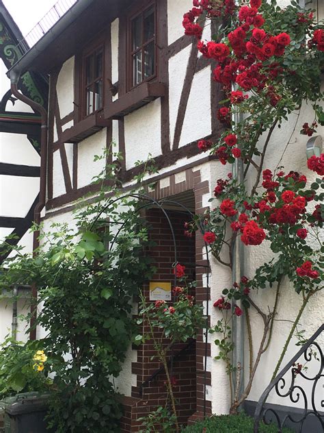 In montabaur sind 43 immobilien für den objekttyp wohnung zur miete verfügbar. Ferienwohnung Montabaur - Ferienwohnung Montabaur