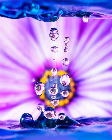 How To Shoot Refraction Macro Photos In Water Drops Glass Beads And