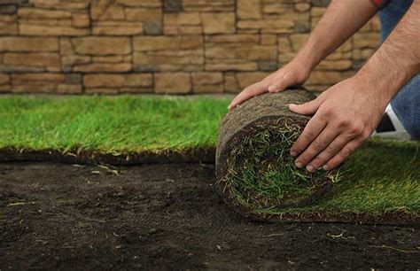 Sod Installation And Irrigation System Brooklyn Dependable Lawn Care