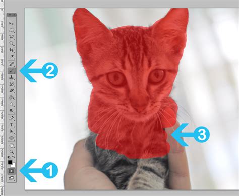 Check spelling or type a new query. 4 Ways to Select Objects in Photoshop - Dreamstale