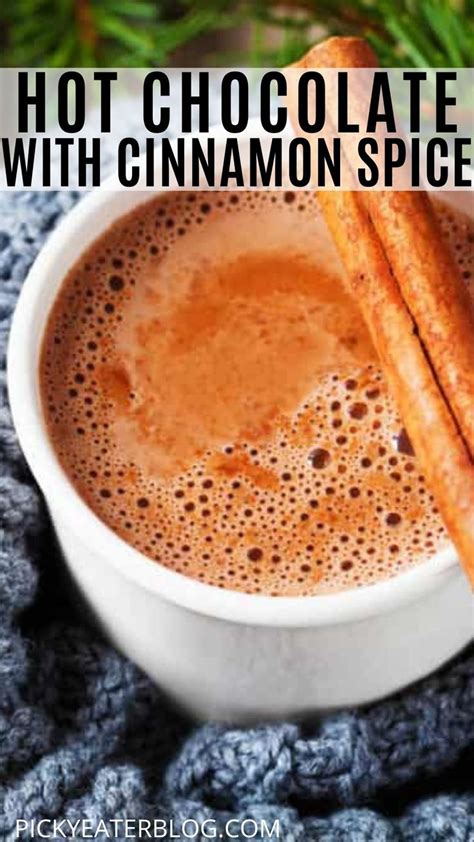 hot chocolate with cinnamon spice spiced hot chocolate recipe healthy hot chocolate cinnamon
