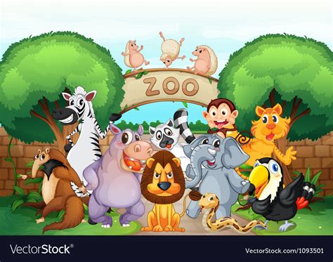 Zoo And Animals Royalty Free Vector Image Vectorstock