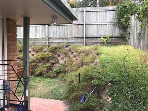 › camels are very well adapted to difficult climatic conditions. Snake found in Queensland garden but can you spot it ...