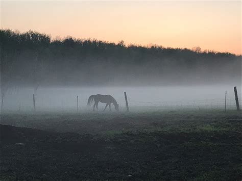 Serenity Acres Farm - Ontario