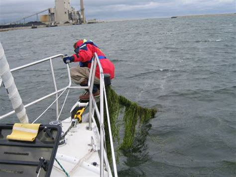 So now when i ask a whole bunch of questions about a manufacturer's products—many of them dumb, i'm sure—they are more likely to find the time. August 21 - August 25, 2004