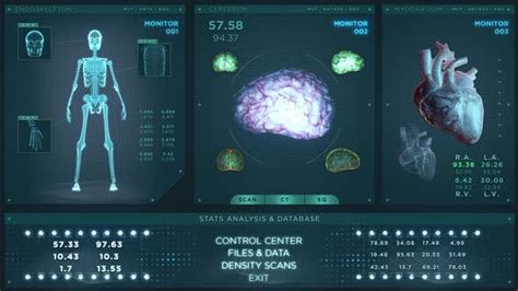 Biology Hud X Ray With 3d Heart And Brain Motion Graphics Videohive
