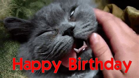 Happy birthday to a men. Top 72 Birthday Memes and Funny Birthday Images | Goluputtar