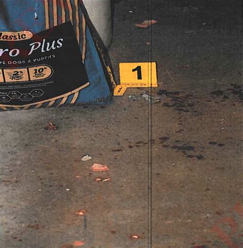 Graphic Pics Of Murdersmanage Page