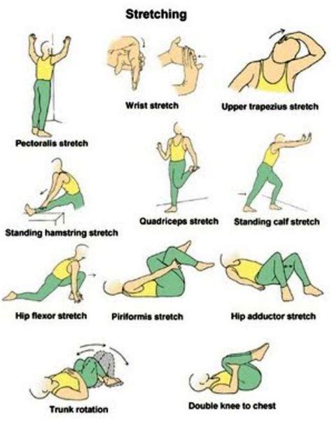 EXCLUSIVE PHYSIOTHERAPY GUIDE FOR PHYSIOTHERAPISTS STRETCHING EXERCISE Physical Therapy