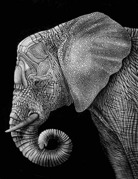 The 25 Best Elephant Illustration Ideas On Pinterest Simple Elephant Drawing Line Drawing