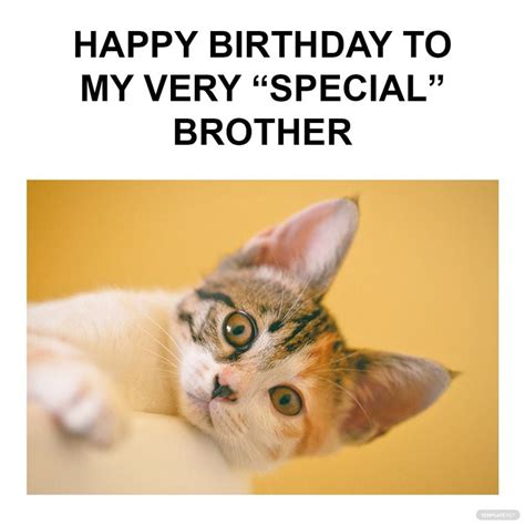 Free Happy Birthday Brother From Sister Funny Meme Illustrator