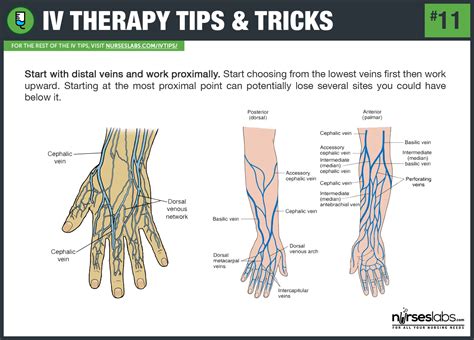 50 Iv Therapy Tips And Tricks The Ultimate Guide Iv Therapy Nurse