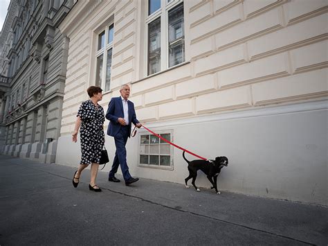 Az osztrák zöldek elengedik a menekültpártiságot, de ez nem árt meg a népszerűségüknek. Die Spitzenkandidaten haben gewählt - wien.ORF.at