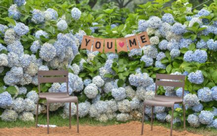 4 days taipei leisure tour packages. Eden Tours & Travels