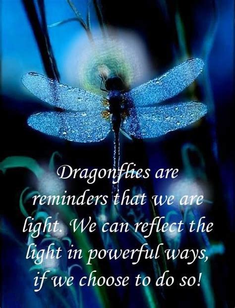 Dragonflies Remind Us We Are Light Dragonfly Quotes Dragonfly