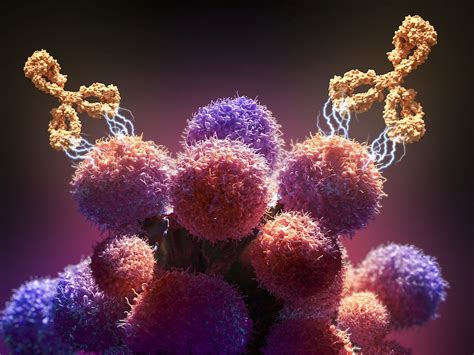 Patients meeting criteria for treatment with monoclonal antibody will also meet criteria for medical isolation. What is Monoclonal Antibody Therapy for Cancer? | Dana-Farber