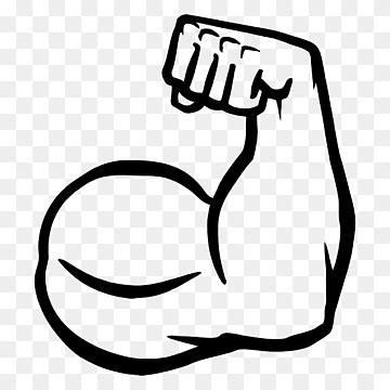 Muscle Png Images PNGWing