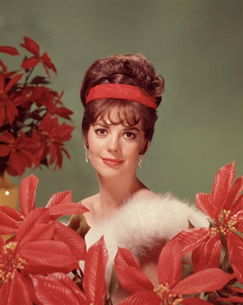 Natalie Wood Christmas With Plastic Pointsettas The Glamour That Is