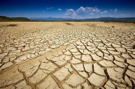 What Are The Effects Of A Drought On The Environment