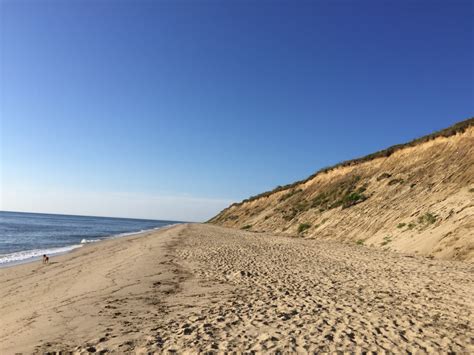 Sankaty Bluff Nantucket Walkabout Hour Guided Wilderness Hikes