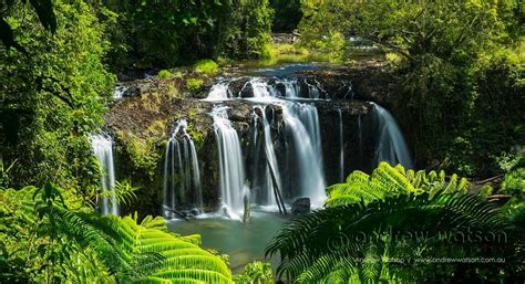 Best Waterfalls On The Atherton Tablelands Cairns And Great Barrier Reef