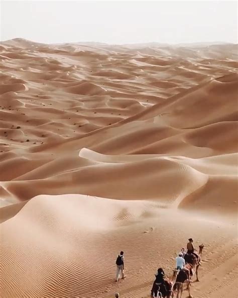 Rub Al Khali Desert Abu Dhabi United Arab Emirates Video