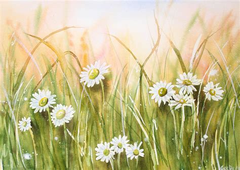 Daisy Painting Wildflower Art Daisies Field Watercolor Daisies Artwork