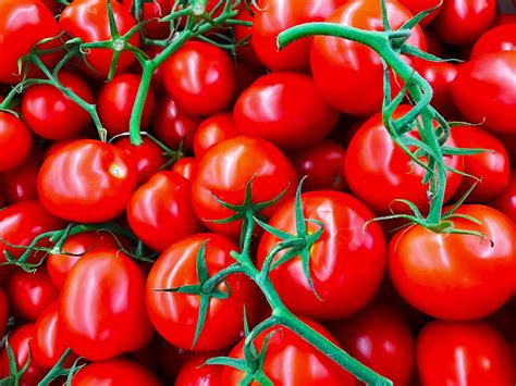Usa Seller Sugar Lump Cherry Tomato 25 Seeds Heirloom Solanum Etsy