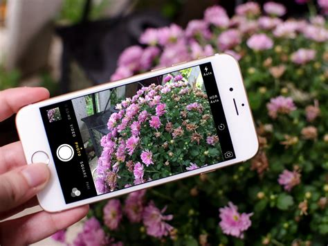 How To Take Professional Pictures With Iphone All Secrets