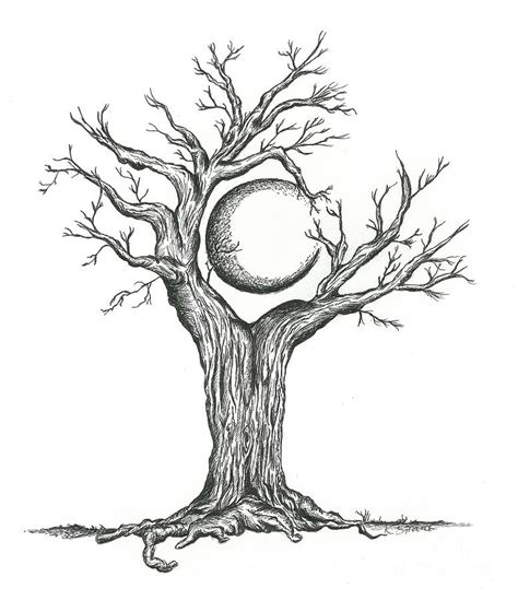 Moon By Trees Clipart 20 Free Cliparts Download Images On Clipground 2024