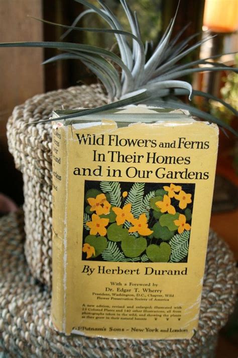 A guide to the names, haunts, and habits of our common ferns. Pin on  About Ferns 