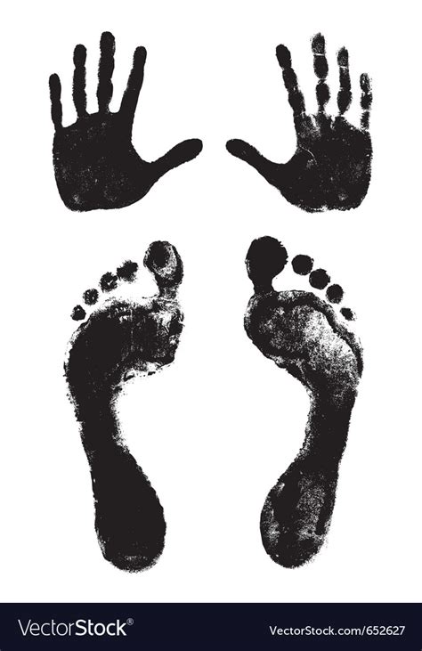 Footprints And Handprints Royalty Free Vector Image