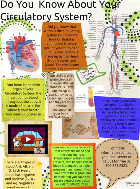 Circulatory System Circulatory System System Teachers