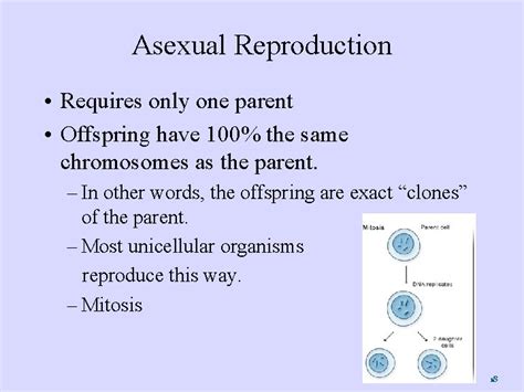 Methods Of Reproduction Sexual And Asexual Reproduction Reflection