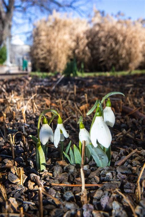 Willst du dein projekt zu etwas besonderem machen und brauchst dafür artikel, die so nicht im regal liegen? Du und dein Garten: Spezialmarkt