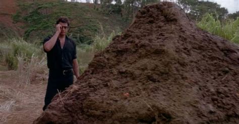 What Jurassic Parks Pile Of Poop Is Really Made Out Of Paleontology