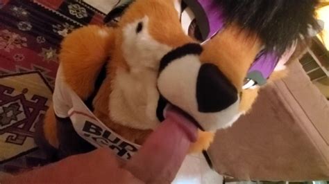Free Furry Yiff Porn Videos Page From Thumbzilla Hot Sex Picture