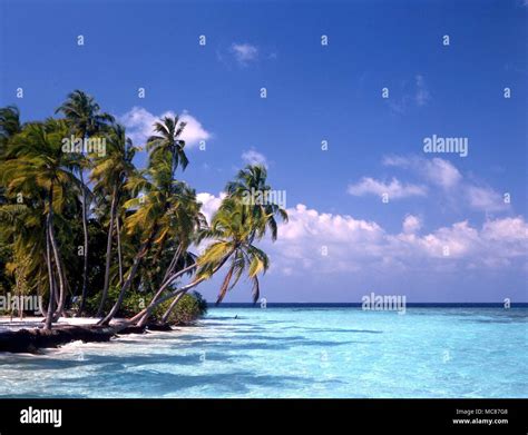 Tropical Islands Maldives Beach At Little Bandos Maldives Indian