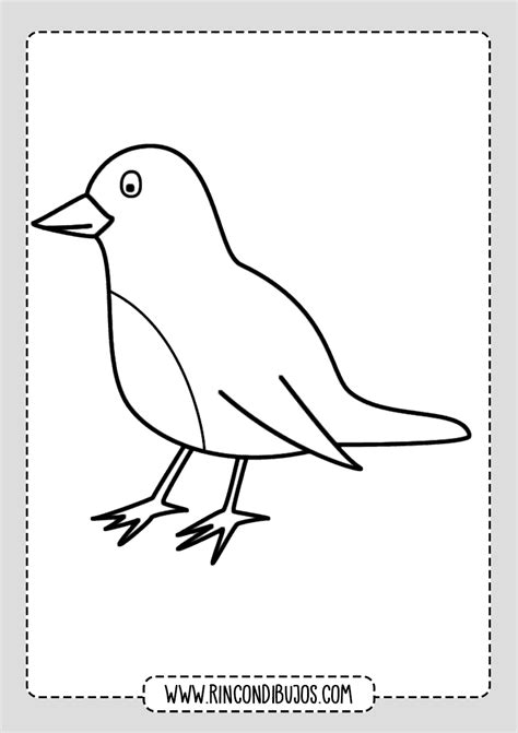 Dibujos de Pájaros para colorear Imprimir y Colorear
