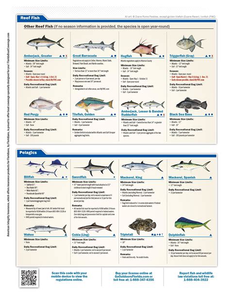 Florida Recreational Saltwater Fishing Bag Limits Seasons