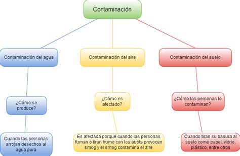 Mapa Conceptual De La Contaminacion Geno