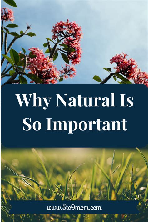 Why Natural Is So Important To Me Natural Lifestyle Natural Life Nature