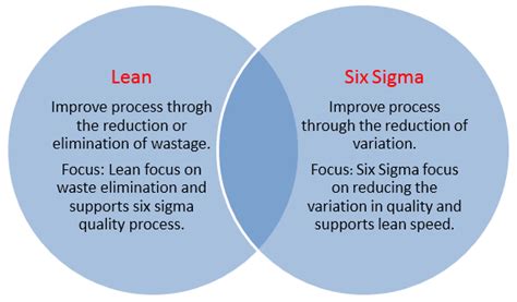 The 7 Lean Six Sigma Principles