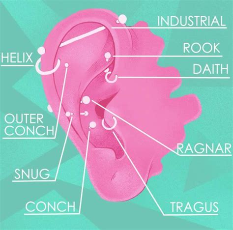 Pain Level Chart For Ear Piercing