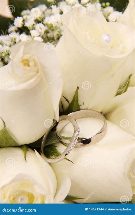 Wedding Rings And White Roses Stock Images Image 14691144