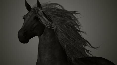 Black Horse Hd Backgrounds Pixelstalknet