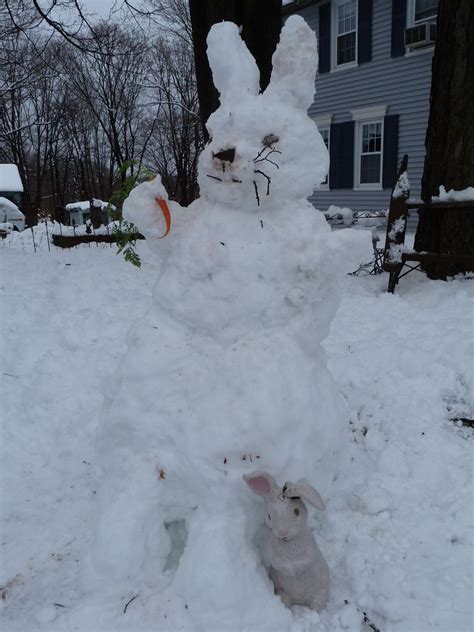 Snow Bunny Snow Bunny Built By Mom And Me Lisa Jacobs Flickr