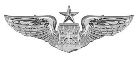 Air Force Badge Navigator Regulation Size