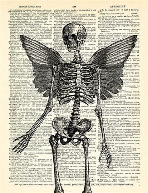 Skeleton Wings Skull Art Print Skeleton Poster Anatomy Goth Art