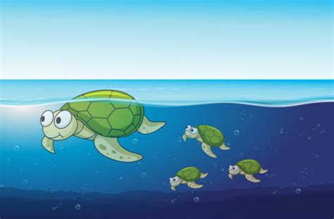 Sea Turtle Clip Art Pictures Illustrations Royalty Free Vector